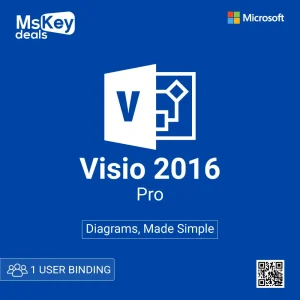Microsoft Visio pro 2016 1 user bind