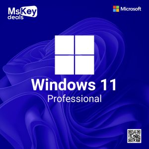 Microsoft Windows 11 Professional