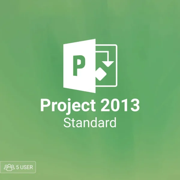 Microsoft Project 2013 std 5 user