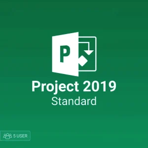 Microsoft Project 2019 Standard 5 user
