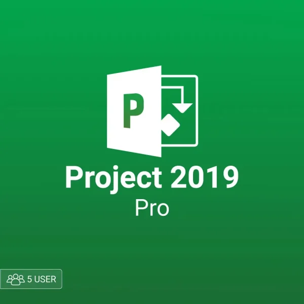 Microsoft Project 2019 pro 5 user