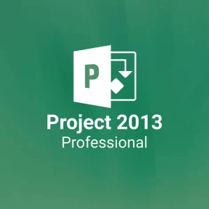 Microsoft Project Professional 2013