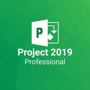 Microsoft Project Professional 2019