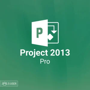 Microsoft Project pro 2013 5 user