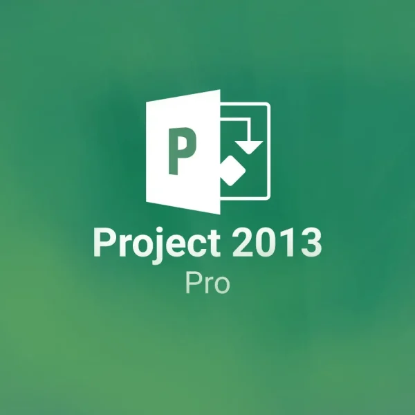Microsoft Project pro 2013