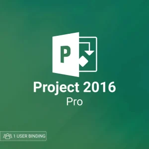 Microsoft Project pro 2016 1 user bind