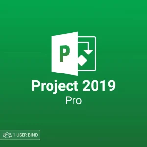 Microsoft Project pro 2019 1 user bind