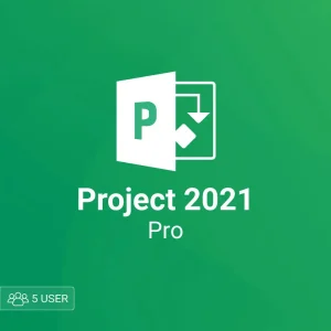 Microsoft Project pro 2021 5 user