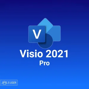 Microsoft Visio pro 2021 5 user