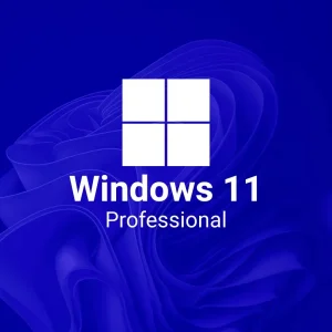 Microsoft Windows 11 Professional