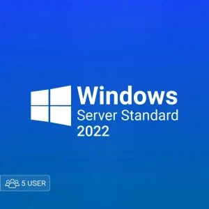 Microsoft Windows server 2022 standard 5 user